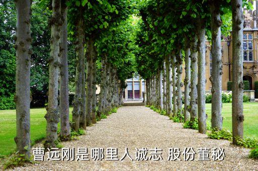 北京清控科創(chuàng)控股股份有限公司,清控科創(chuàng)控股股份有限公司重大項目辦風(fēng)能