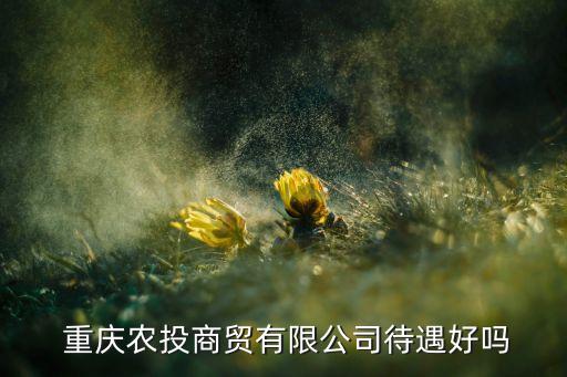  重慶農投商貿有限公司待遇好嗎