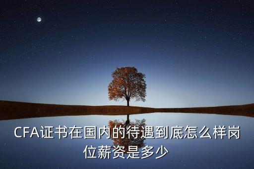 CFA證書在國(guó)內(nèi)的待遇到底怎么樣崗位薪資是多少