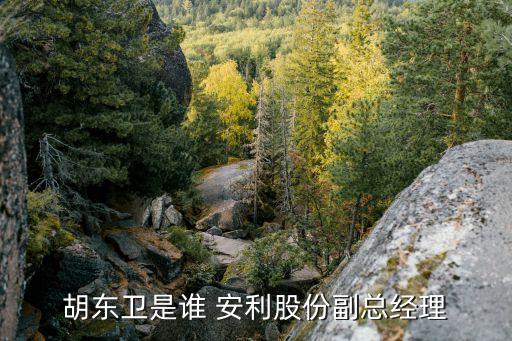 胡東衛(wèi)是誰 安利股份副總經理
