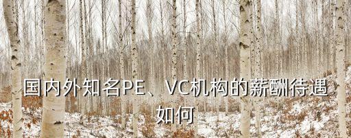國(guó)內(nèi)外知名PE、VC機(jī)構(gòu)的薪酬待遇如何