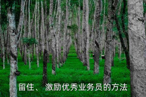 留住、 激勵(lì)優(yōu)秀業(yè)務(wù)員的方法