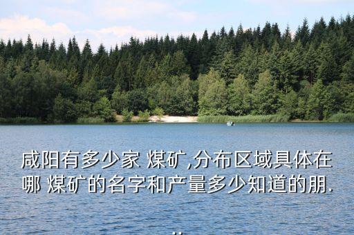 咸陽(yáng)有多少家 煤礦,分布區(qū)域具體在哪 煤礦的名字和產(chǎn)量多少知道的朋...