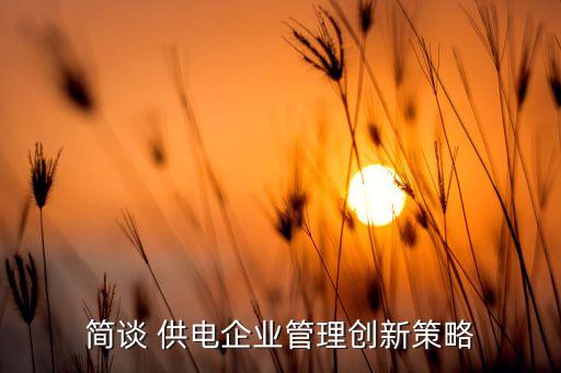 未來(lái)供電公司改革,2020年供電公司供電所改革