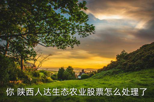 你 陜西人達生態(tài)農業(yè)股票怎么處理了