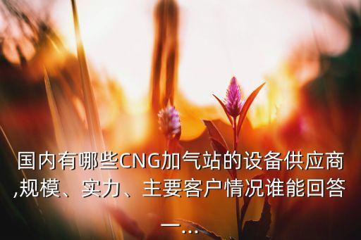 國(guó)內(nèi)有哪些CNG加氣站的設(shè)備供應(yīng)商,規(guī)模、實(shí)力、主要客戶情況誰能回答一...