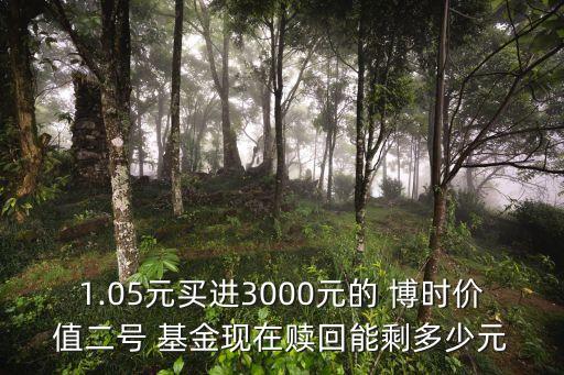 博時(shí)增長2號基金凈值,博時(shí)價(jià)值增長混合基金凈值(050001)