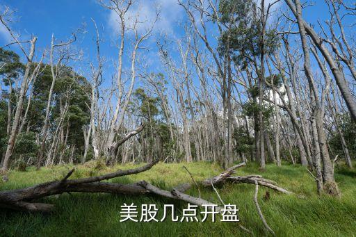 美股交易時(shí)間北京時(shí)間,美股幾點(diǎn)開盤 北京時(shí)間
