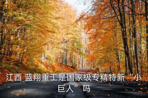 成都藍翔投資有限責(zé)任公司,成都金融城投資發(fā)展有限責(zé)任公司