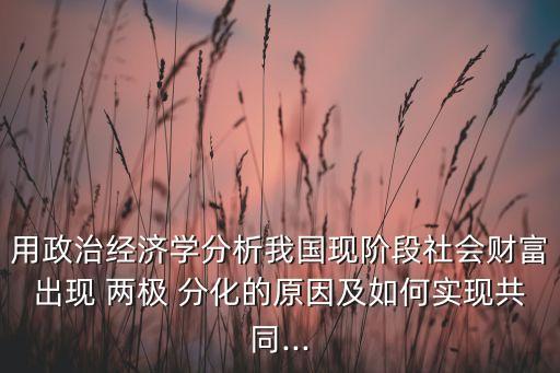 用政治經(jīng)濟(jì)學(xué)分析我國現(xiàn)階段社會(huì)財(cái)富出現(xiàn) 兩極 分化的原因及如何實(shí)現(xiàn)共同...