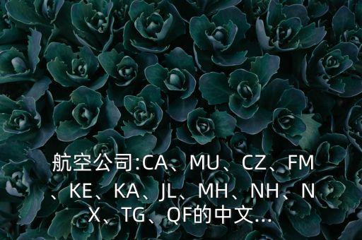  航空公司:CA、MU、CZ、FM、KE、KA、JL、MH、NH、NX、TG、QF的中文...