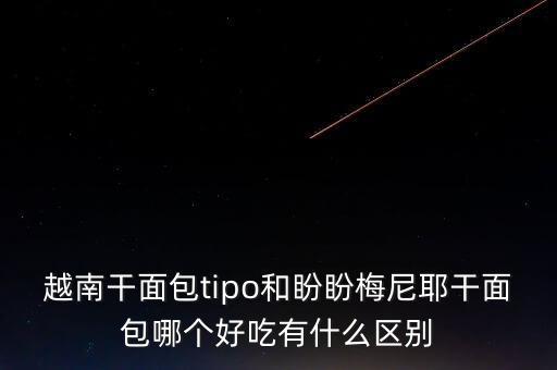 美國(guó)lipo公司