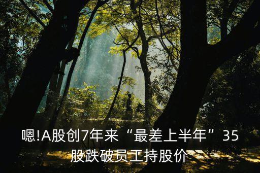 嗯!A股創(chuàng)7年來(lái)“最差上半年”35股跌破員工持股價(jià)