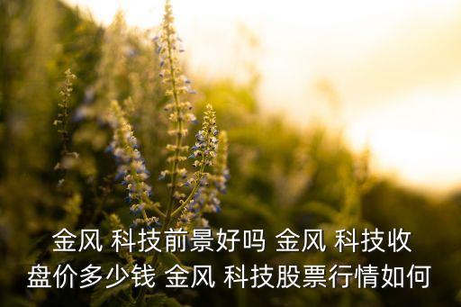 江蘇金風(fēng)科技有限公司怎么樣,阜陽金風(fēng)科技有限公司怎么樣