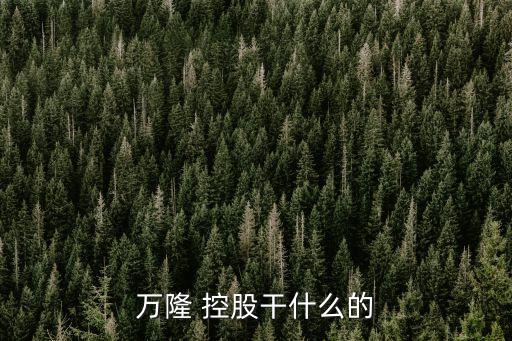 萬(wàn)隆 控股干什么的