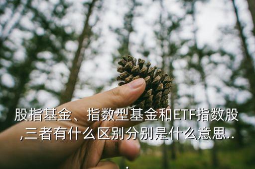 股指基金、指數(shù)型基金和ETF指數(shù)股,三者有什么區(qū)別分別是什么意思...