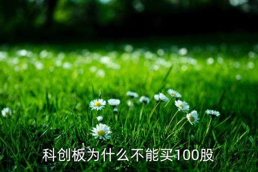 科創(chuàng)板為什么不能買(mǎi)100股