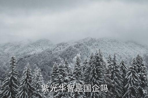  紫光華智是國(guó)企嗎