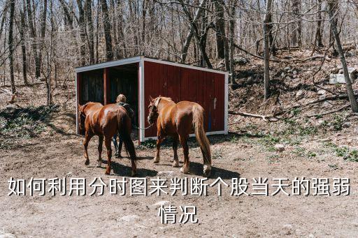 如何利用分時(shí)圖來判斷個股當(dāng)天的強(qiáng)弱情況