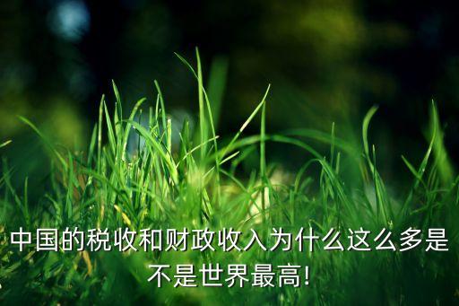 中國(guó)的稅挺多,為什么中國(guó)稅多
