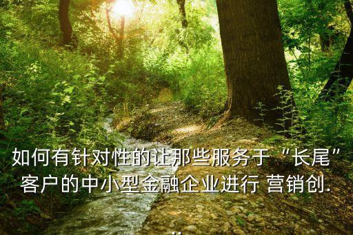 如何有針對性的讓那些服務于“長尾”客戶的中小型金融企業(yè)進行 營銷創(chuàng)...