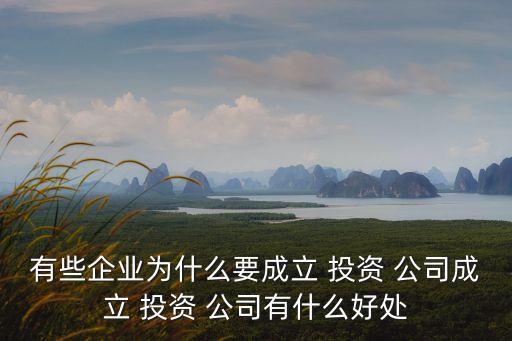 投資管理公司設立方案,設立投資管理公司的條件