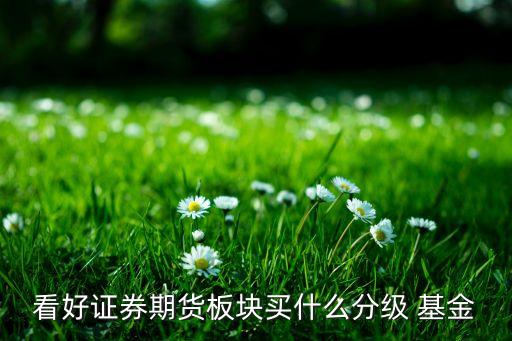 看好證券期貨板塊買(mǎi)什么分級(jí) 基金