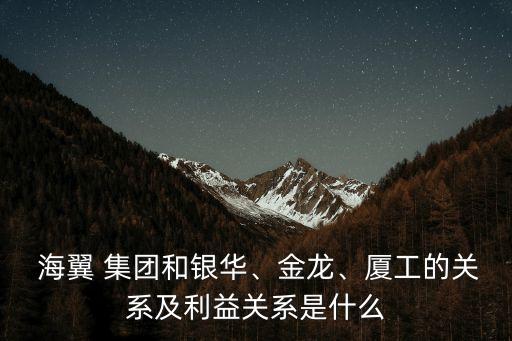 廈門(mén)海翼集團(tuán)負(fù)責(zé)人,黃榮廈門(mén)海翼集團(tuán)