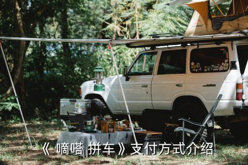 《 嘀嗒 拼車(chē)》支付方式介紹