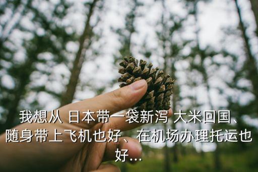我想從 日本帶一袋新瀉 大米回國、隨身帶上飛機也好、在機場辦理托運也好...