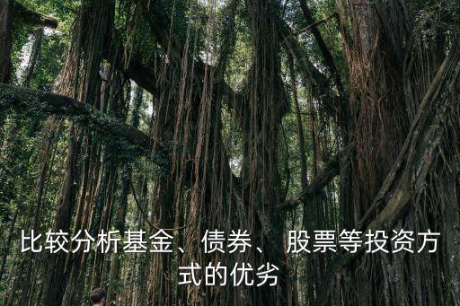 比較分析基金、債券、 股票等投資方式的優(yōu)劣