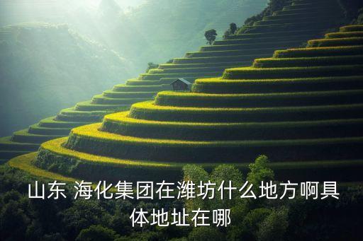山東海化盛興化工有限公司,濰坊盛興化工有限公司