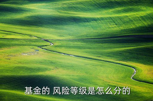  基金的 風(fēng)險(xiǎn)等級(jí)是怎么分的