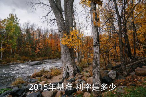 2015年基準 利率是多少