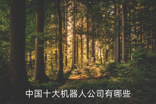 哈爾濱博實(shí)自動(dòng)化股份有限公司上市