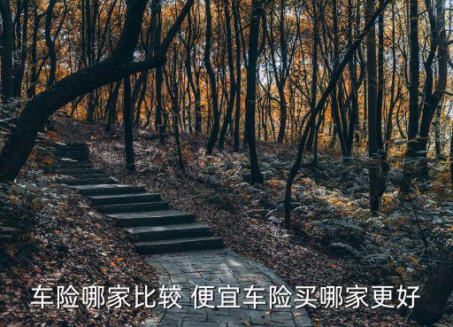 車險(xiǎn)哪家比較 便宜車險(xiǎn)買哪家更好