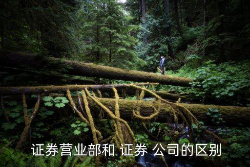 證券公司設立分公司,設立證券公司的條件