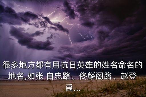 很多地方都有用抗日英雄的姓名命名的地名,如張 自忠路、佟麟閣路、趙登禹...