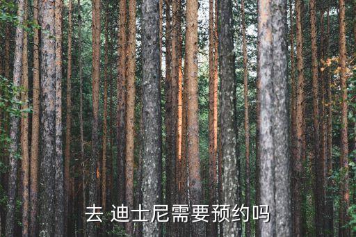 去 迪士尼需要預約嗎