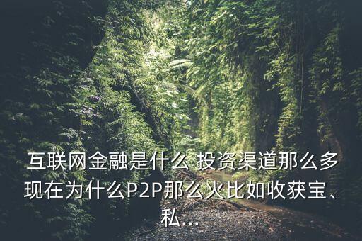  互聯(lián)網(wǎng)金融是什么 投資渠道那么多現(xiàn)在為什么P2P那么火比如收獲寶、私...