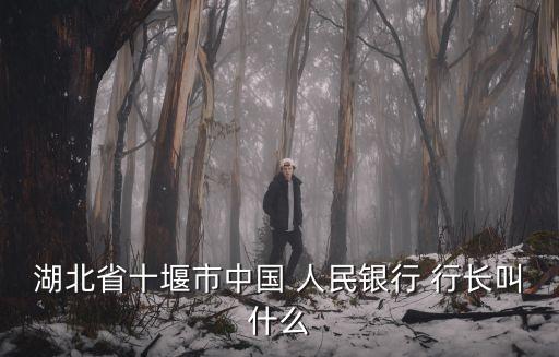 湖北省十堰市中國 人民銀行 行長(zhǎng)叫什么