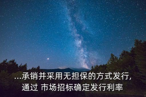 ...承銷并采用無擔(dān)保的方式發(fā)行,通過 市場(chǎng)招標(biāo)確定發(fā)行利率