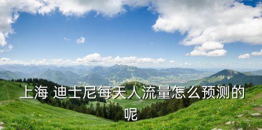  上海 迪士尼每天人流量怎么預測的呢
