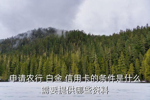 申請農行 白金 信用卡的條件是什么需要提供哪些資料