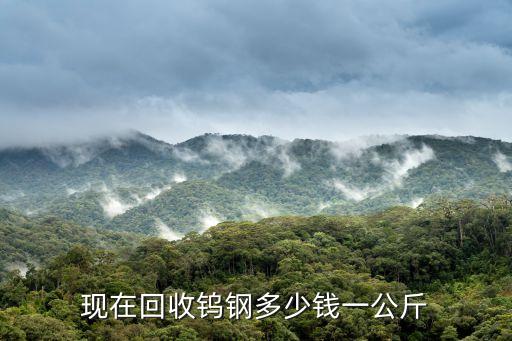 現(xiàn)在回收鎢鋼多少錢(qián)一公斤