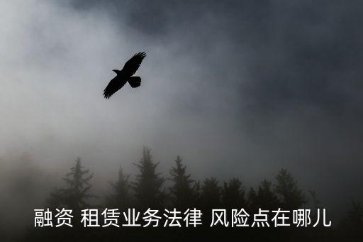 融資租賃公司風險管理制度,公司經營風險管理制度