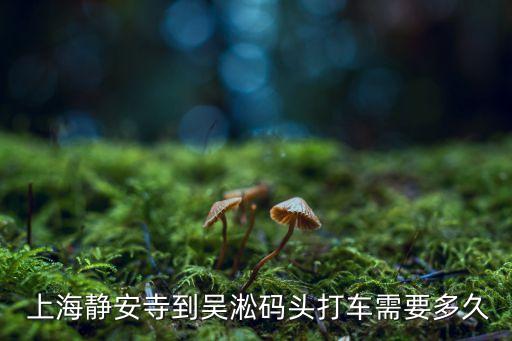 上海同濟(jì)路333號(hào),同濟(jì)路333號(hào)1號(hào)樓1102