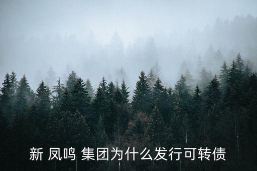 新 鳳鳴 集團為什么發(fā)行可轉債