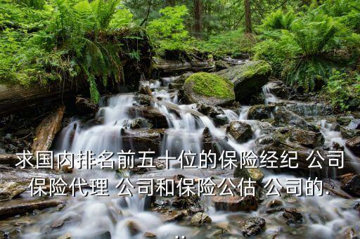 求國(guó)內(nèi)排名前五十位的保險(xiǎn)經(jīng)紀(jì) 公司保險(xiǎn)代理 公司和保險(xiǎn)公估 公司的...