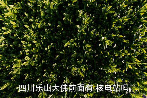 中國核能行業(yè)協(xié)會(huì)核電運(yùn)行信息網(wǎng),核能行業(yè)協(xié)會(huì)運(yùn)行分會(huì)維修領(lǐng)域有哪些
